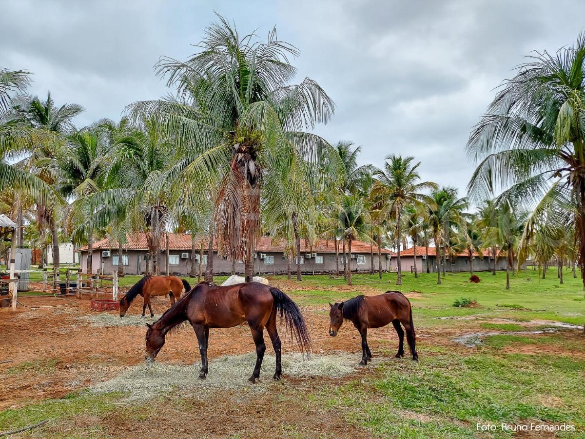 Campo Belo Resort Presidente Prudente Bagian luar foto